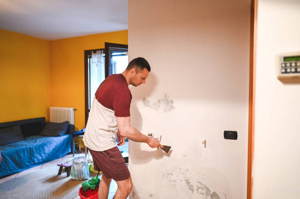 Best Home Mold Removal  in Stone Park, IL